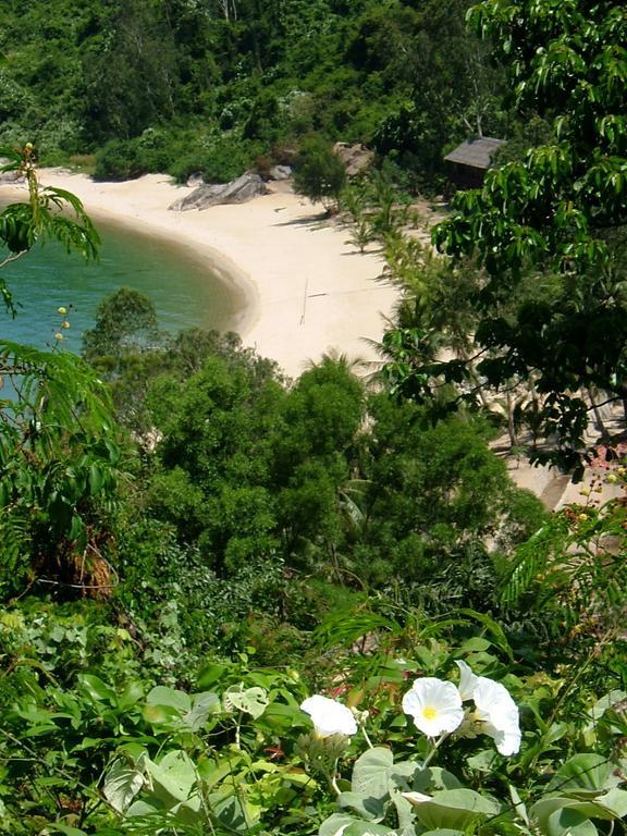 Eden Homestay Hoi An Bagian luar foto